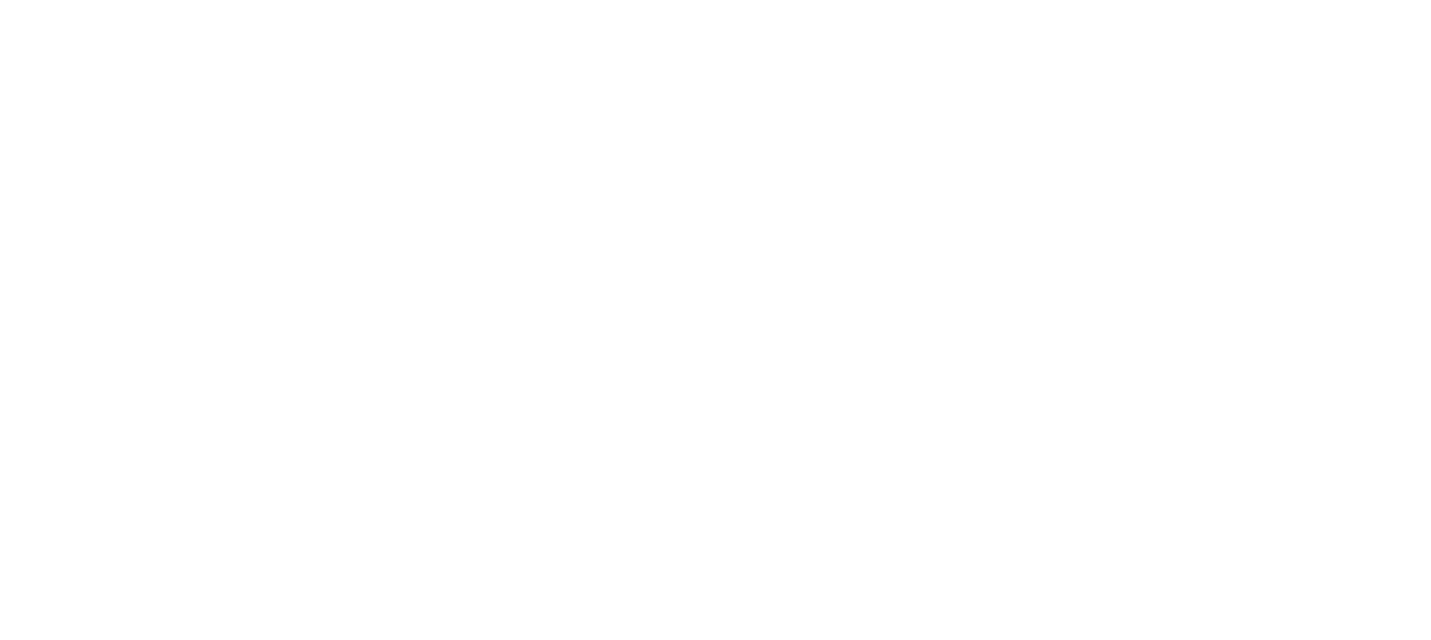 Remik Trading company pvt ltd. - aequitas infotech.com